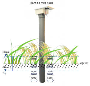 Trạm đo mực nước mặt ruộng AWD