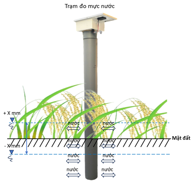 Trạm đo mực nước mặt ruộng AWD