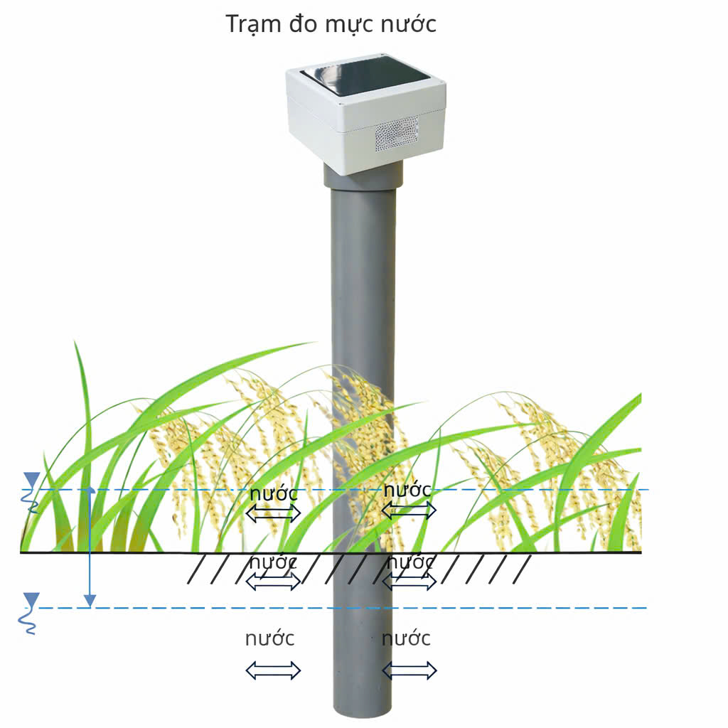 Trạm đo mực nước mặt ruộng AWD